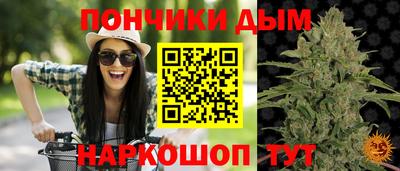 ПСИЛОЦИБИНОВЫЕ ГРИБЫ Гатчина